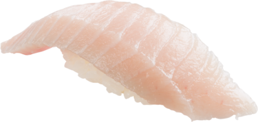 極上厚切長鰭大呑拿魚腩