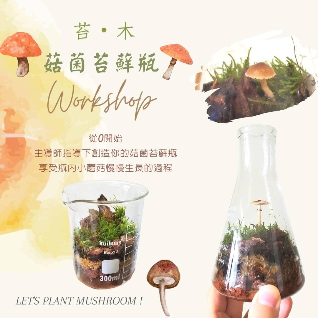 苔蘚生態瓶DIY材料包