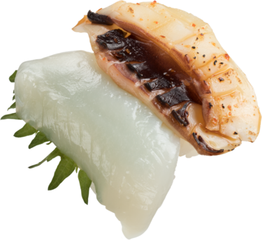 赤烏賊雙味(生・炙燒)