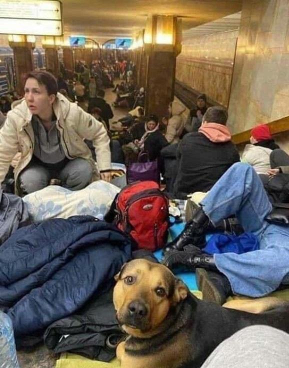 戰事發動最初,烏克蘭人以地鐵站為避難所。(Twitter)