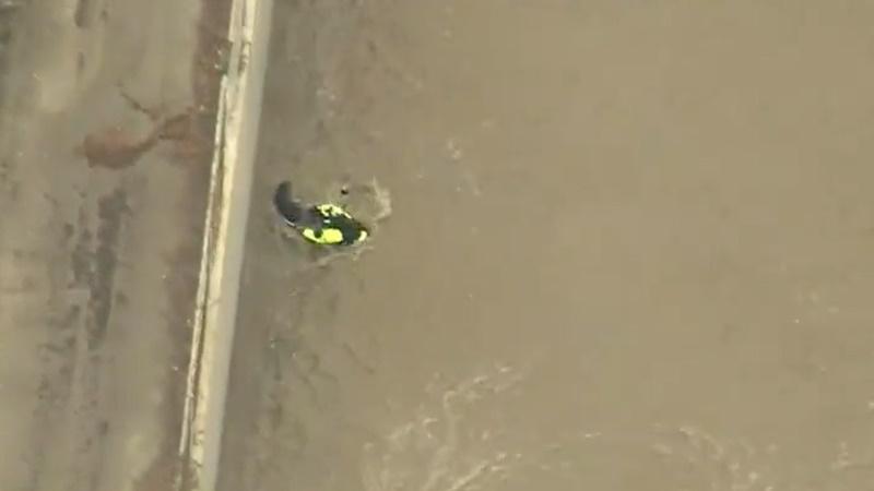 救援人員首次營救狗狗時,狗狗驚恐掙脫。(Twitter)