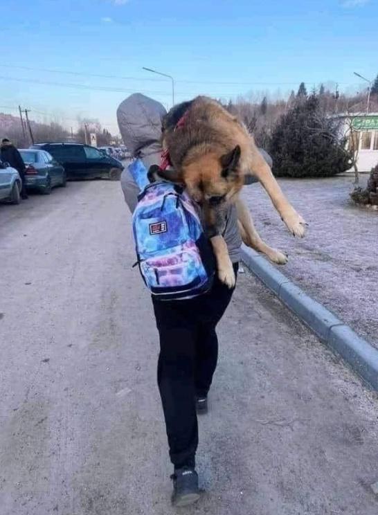 烏克蘭人抱著狗狗逃難。(Twitter)