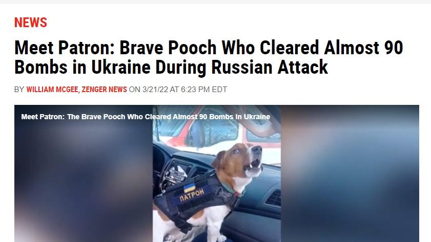 《新聞周刊》(Newsweek)報道。(新聞周刊)