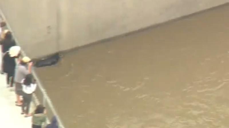 狗狗隨著急速的水流沖去。(Twitter)