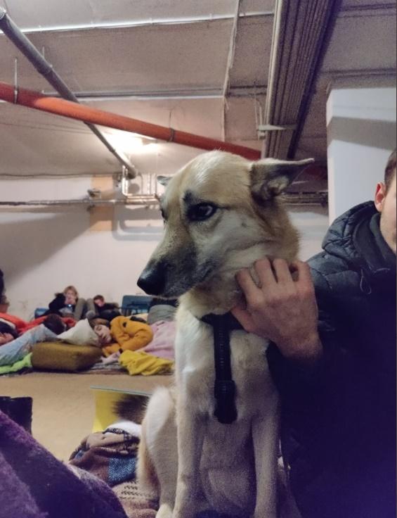 戰事發動最初,烏克蘭人以地鐵站為避難所。(Twitter)