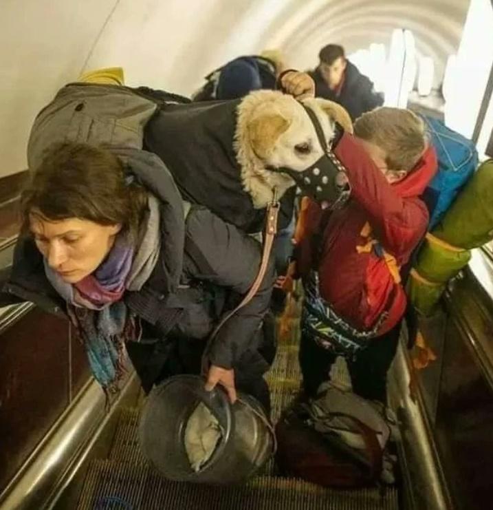 戰事發動最初,烏克蘭人以地鐵站為避難所。(Twitter)