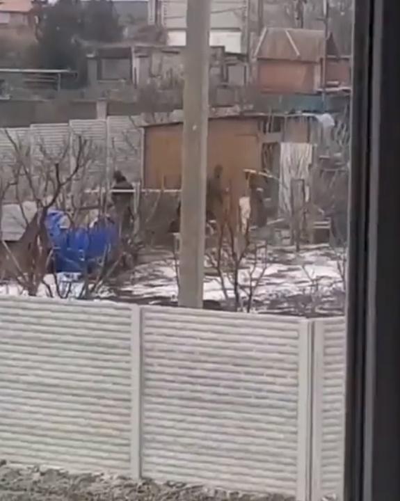 3名疑似俄軍士兵偷雞。(Twitter)