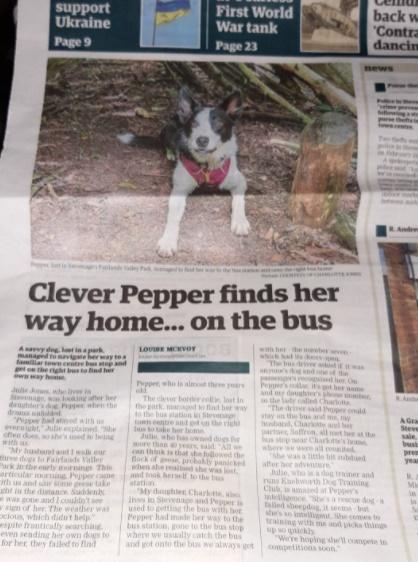 當時由地區小報報道,近日再有傳媒再聯絡Pepper主人訪問作廣泛報道。(FB)