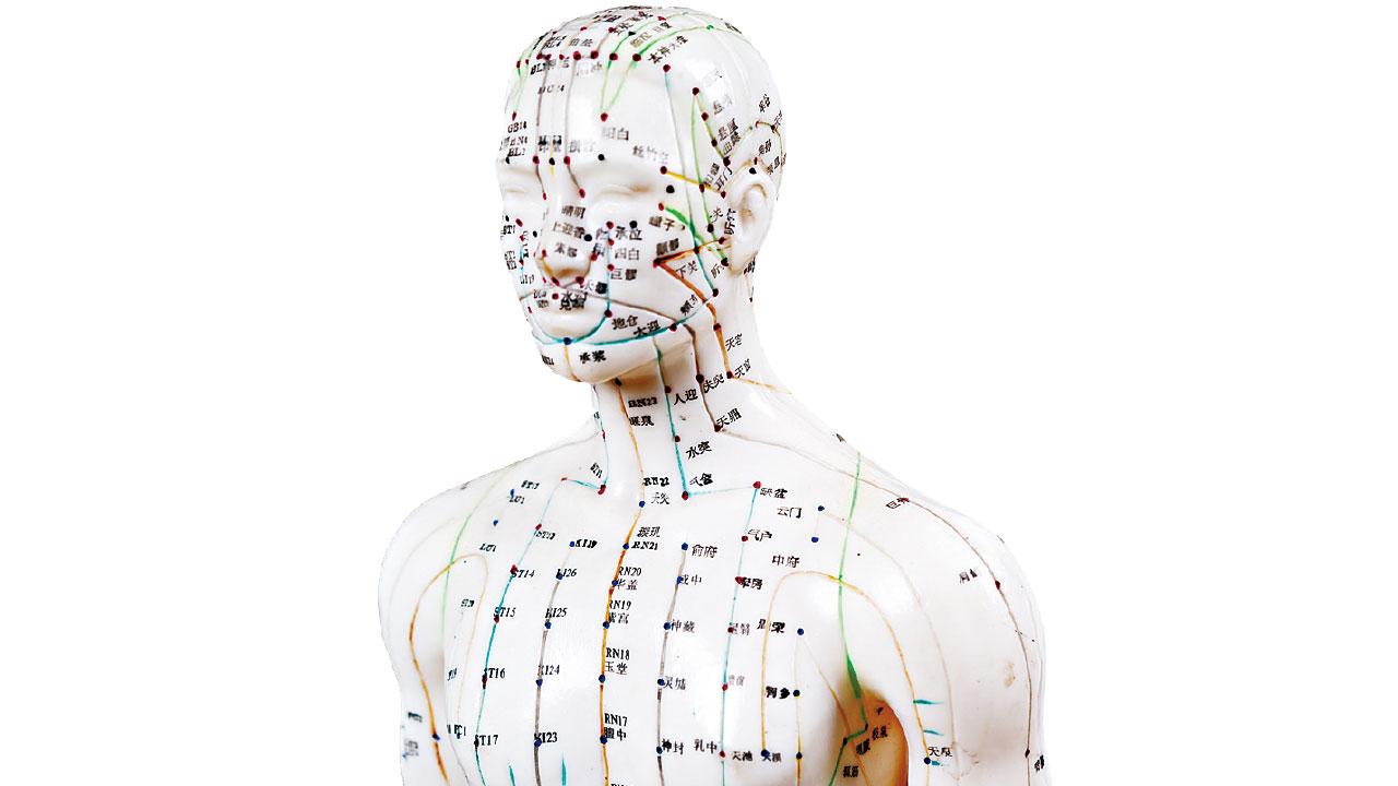 疫下WFH專輯|蓮花清瘟膠囊、黃芪、桔梗中藥抗疫起作用 中醫教授推薦抗疫湯水