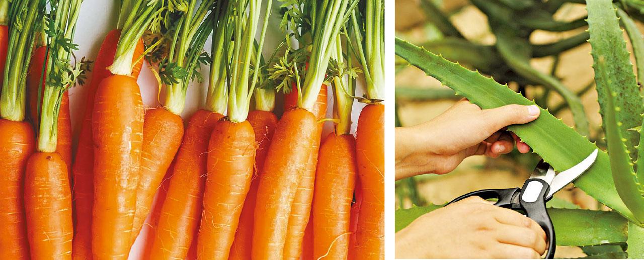 天然方法去印美肌