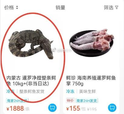 網購鱷魚。(微博)