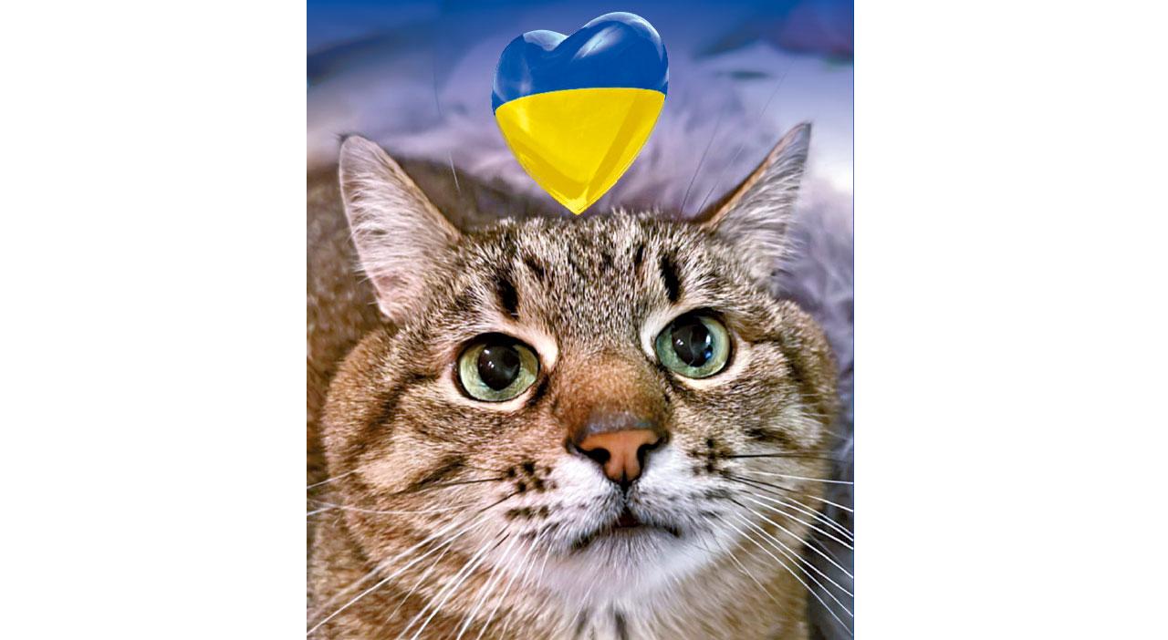 數據科普|大眾網民參與的「第一次世界在線大戰」