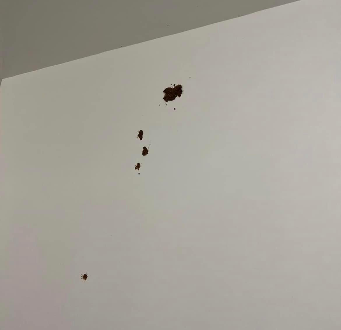 牆身沾有屎跡。(香港抗疫關注組@fb圖)