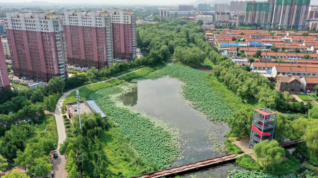 內地開發商為何一個接一個倒下?