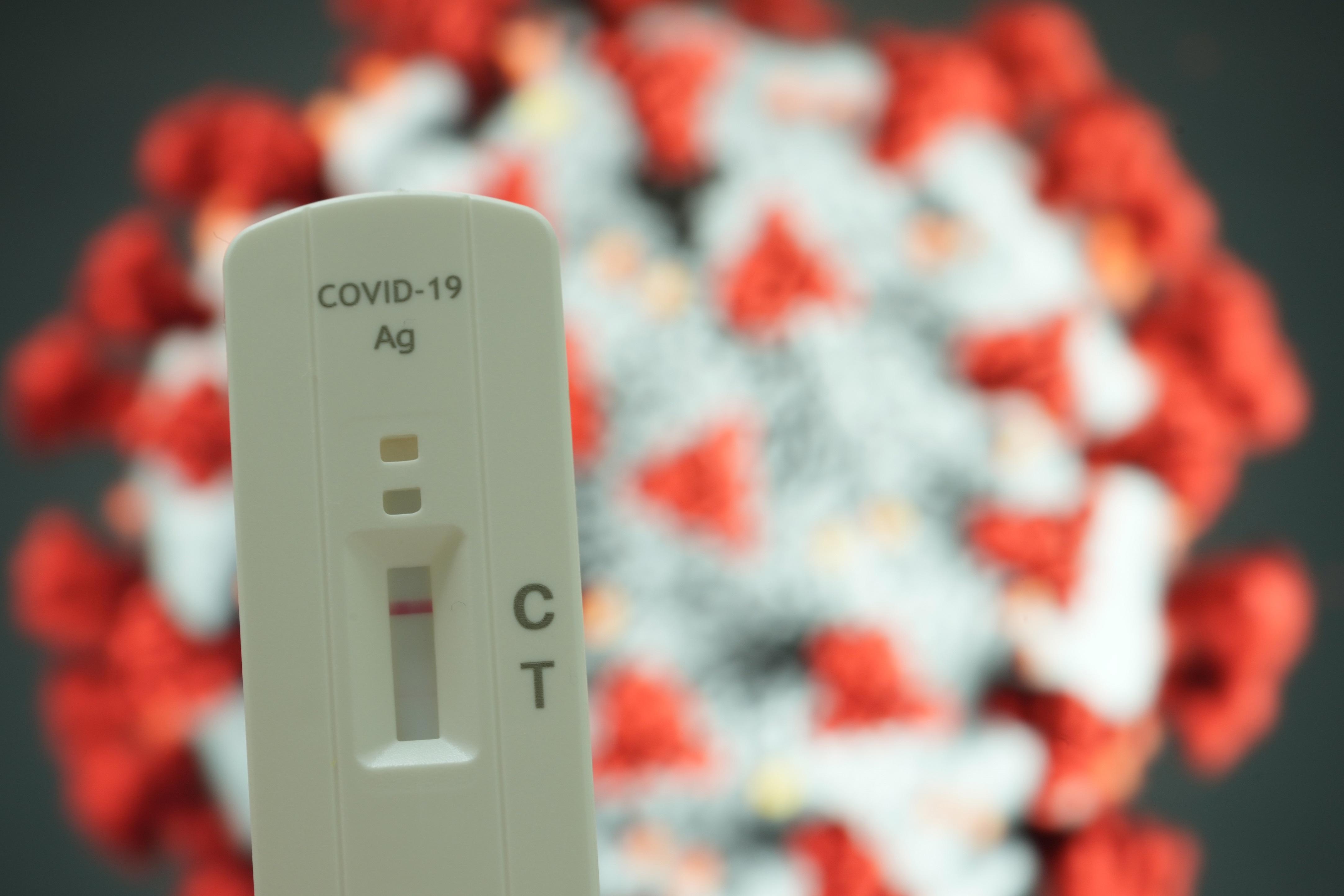 快速測試陰性結果會在C字旁顯示一條線。(資料圖片/陳奕釗攝)