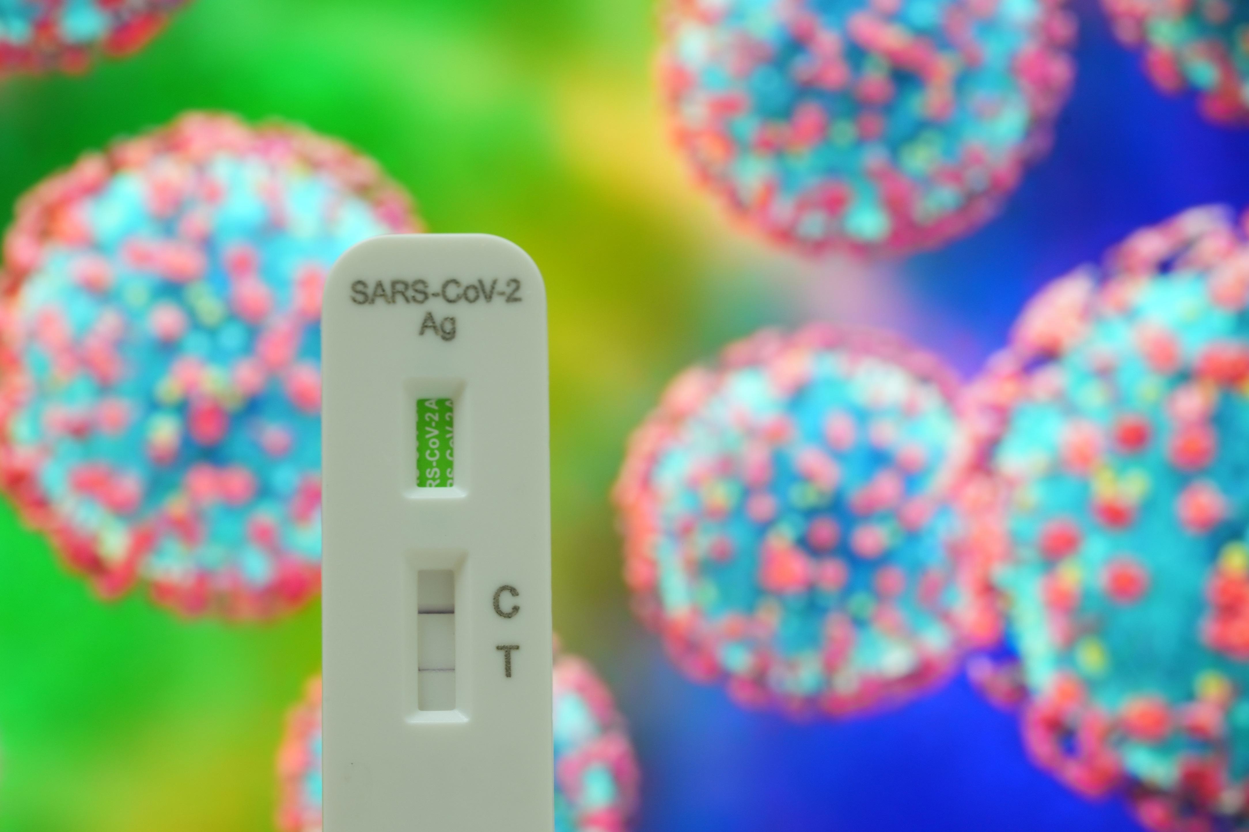 快速測試陽性結果會顯示兩條線。(資料圖片/陳奕釗攝)