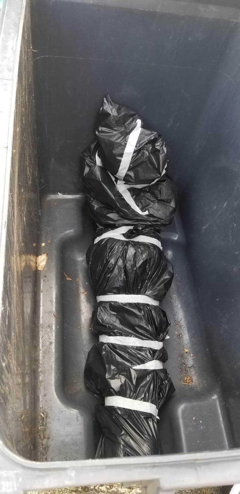 網上熱話|垃圾箱驚現膠袋「藏屍」 警到場打開竟然係......