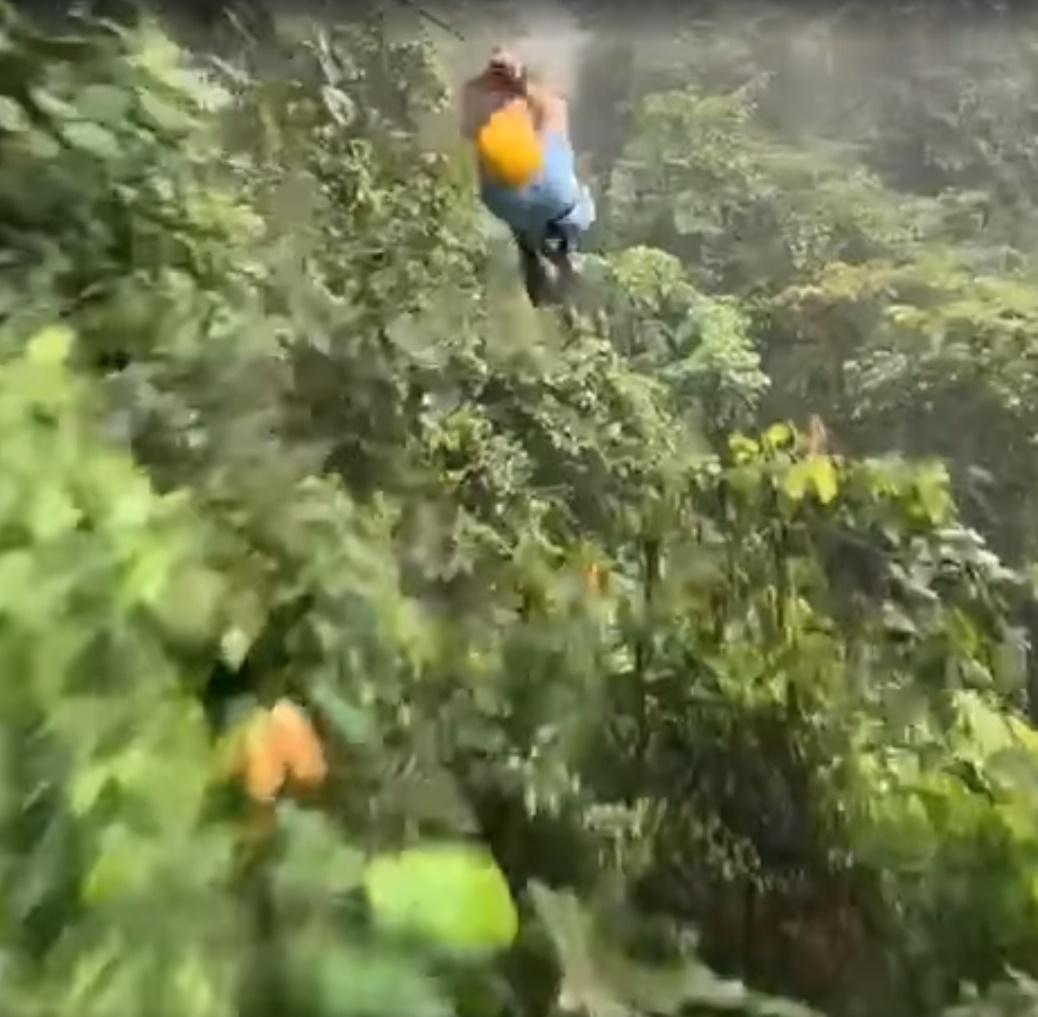 男孩遇樹懶獲得極罕有的快樂體驗。(FB)