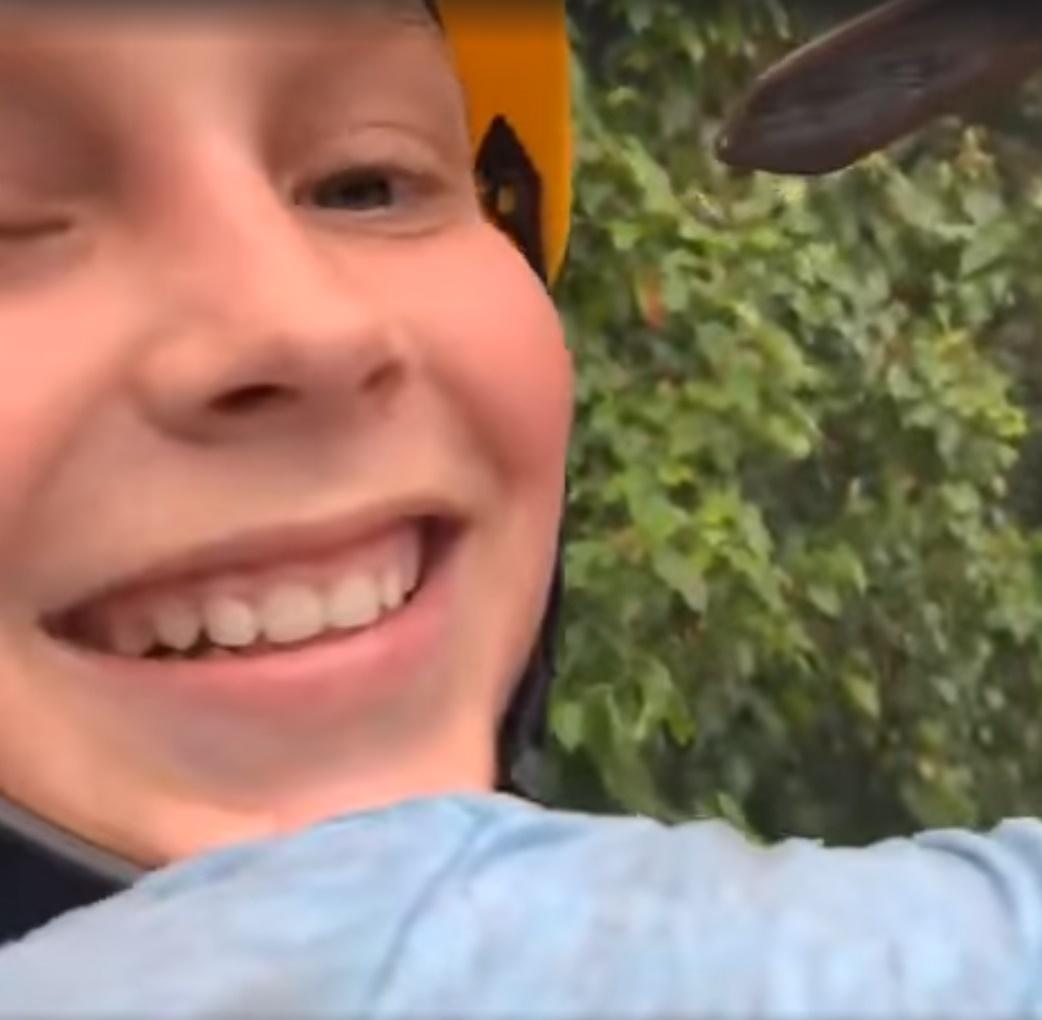 男孩遇樹懶獲得極罕有的快樂體驗。(FB)