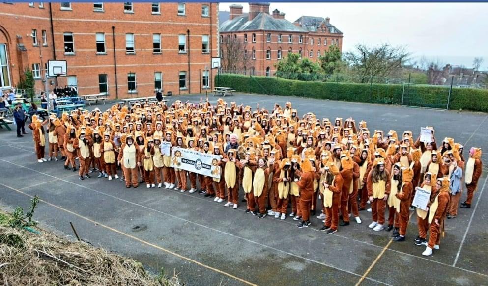 愛爾蘭小鎮逾250人穿獅子服創健力士世界紀錄。(FB)