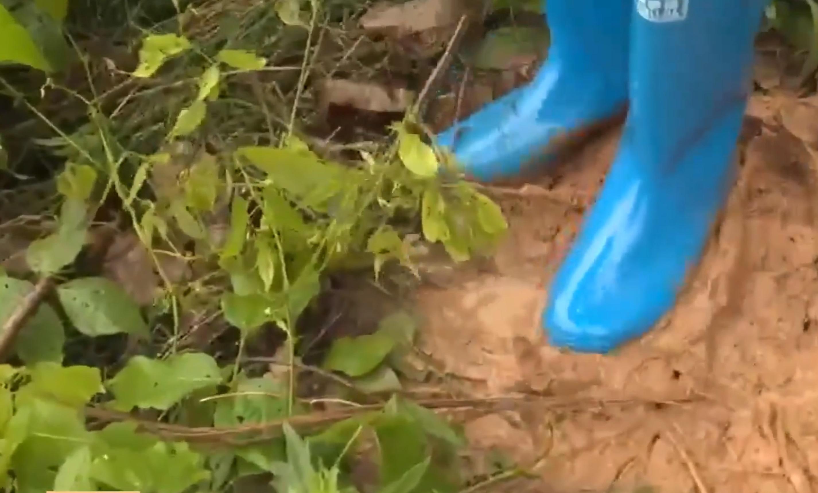 現場落雨導致土地更泥濘,增加搜救工作難度。(央視截圖)