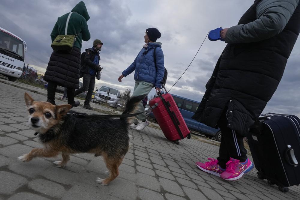 烏克蘭人帶同寵物逃難。(AP)