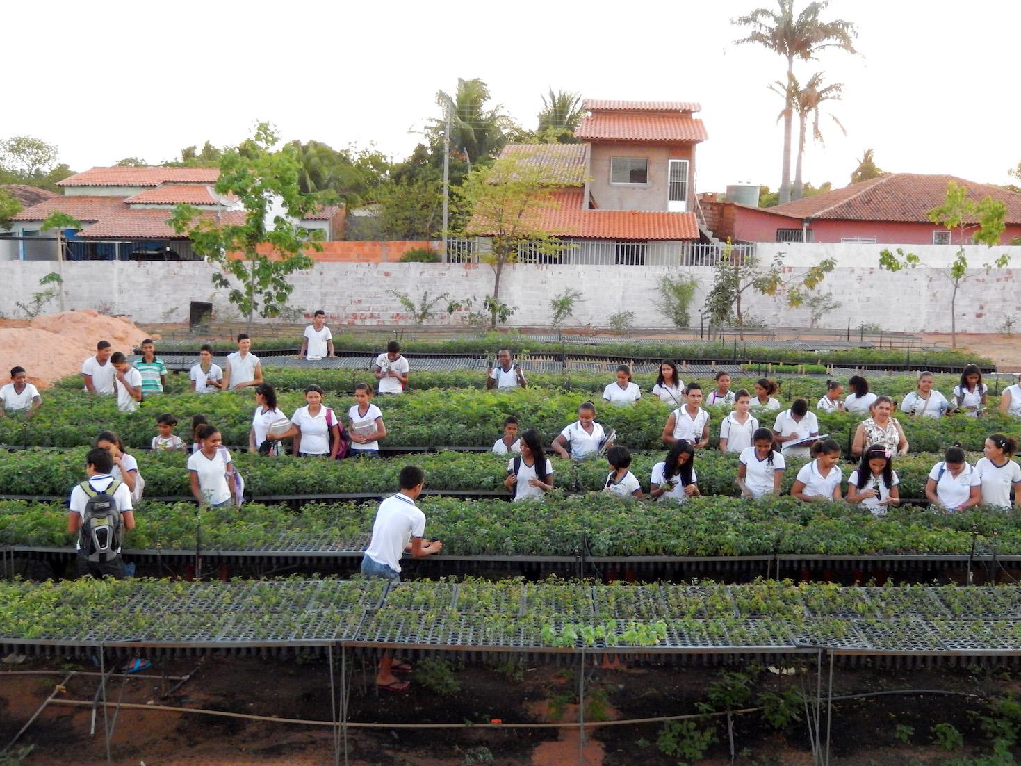 在過去10年,Caudalie已在多個被過度砍伐樹木的重要森林累積種植逾920萬棵樹木,分布於巴西、秘魯、中國,泰國,加州和法國等國家,成功抵消品牌的4倍二氧化碳排放量,並有助保護野生動物和生態資源,對抗全球暖化問題。