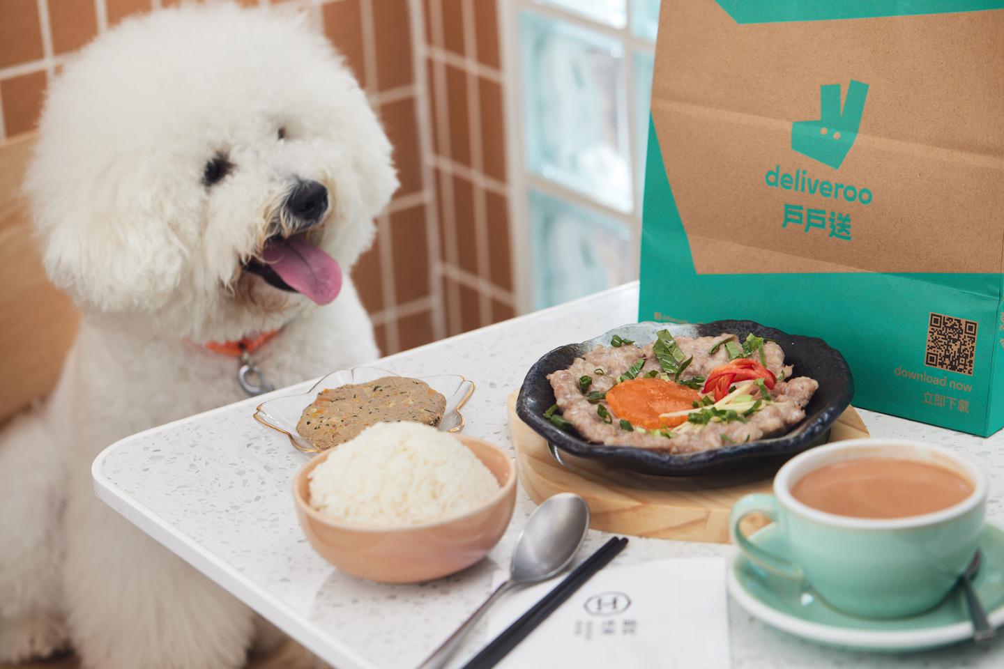 【Hooman House】肉餅套餐 $138 寵物:肉餅(紫薯豬肉/奇亞籽鵪鶉/甜椒鹿肉口味) 主人:鹹蛋蒸肉餅飯(附送飲品)