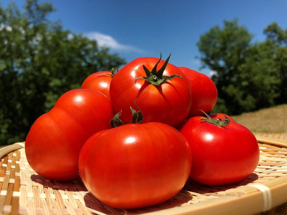 原來茄汁最初與番茄沒有關係。(網絡圖片)