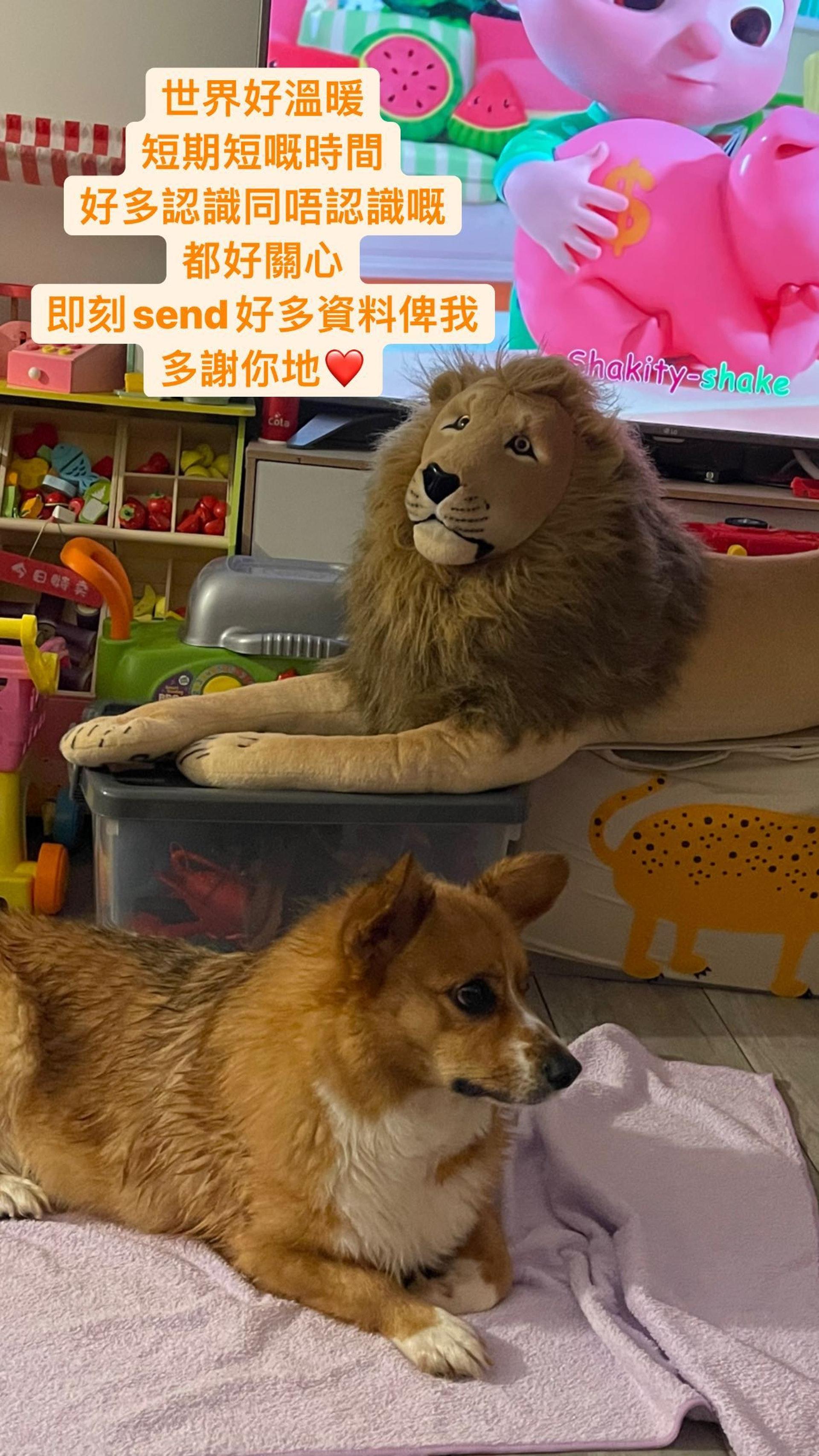 雯雯在IG放負。