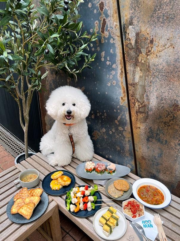 Kome Kushi一共有4款不同套餐,包括玉子套餐 $128、雞肉串燒套餐 $168、他他套餐1 $188及他他套餐2 $248。