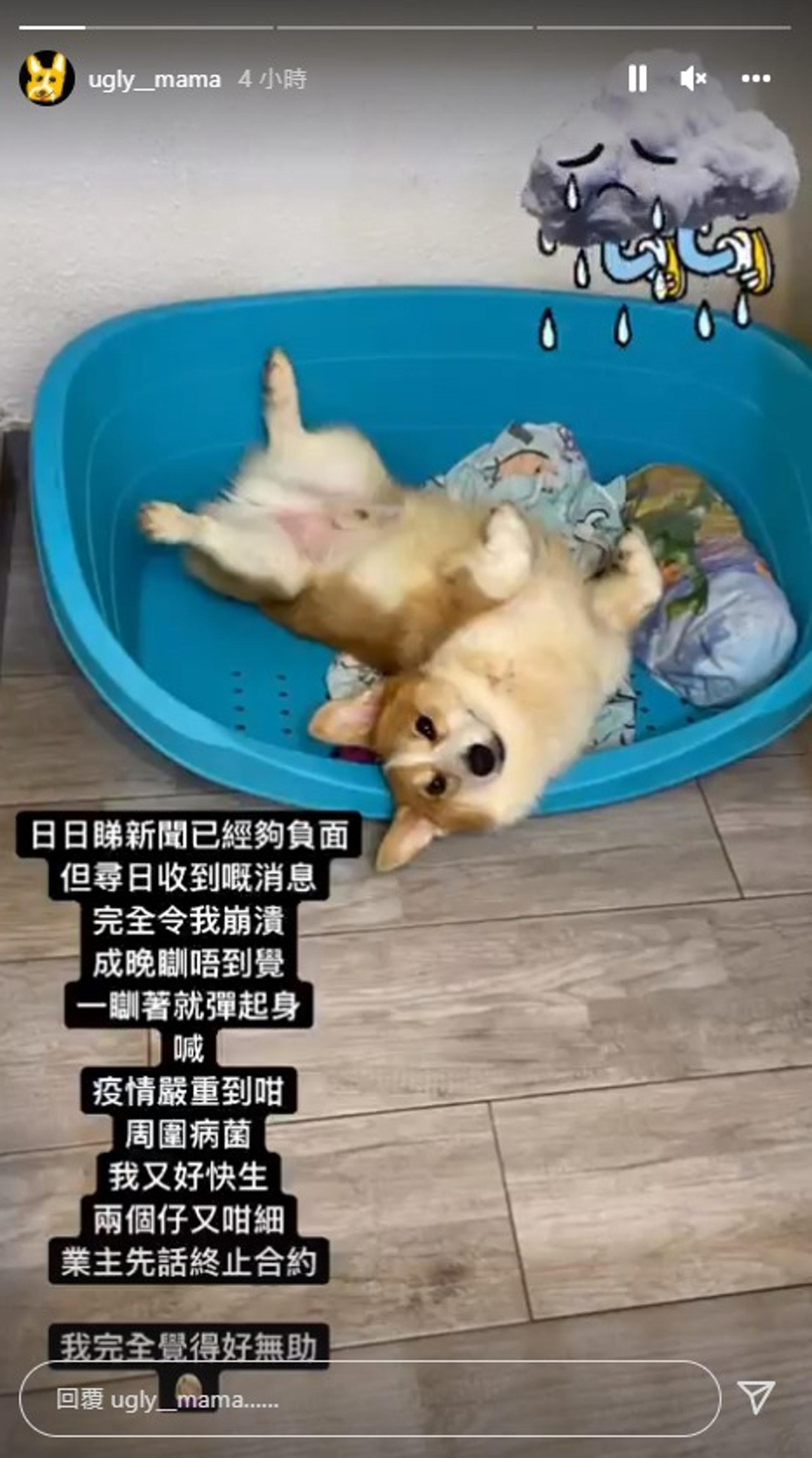 雯雯在IG放負。