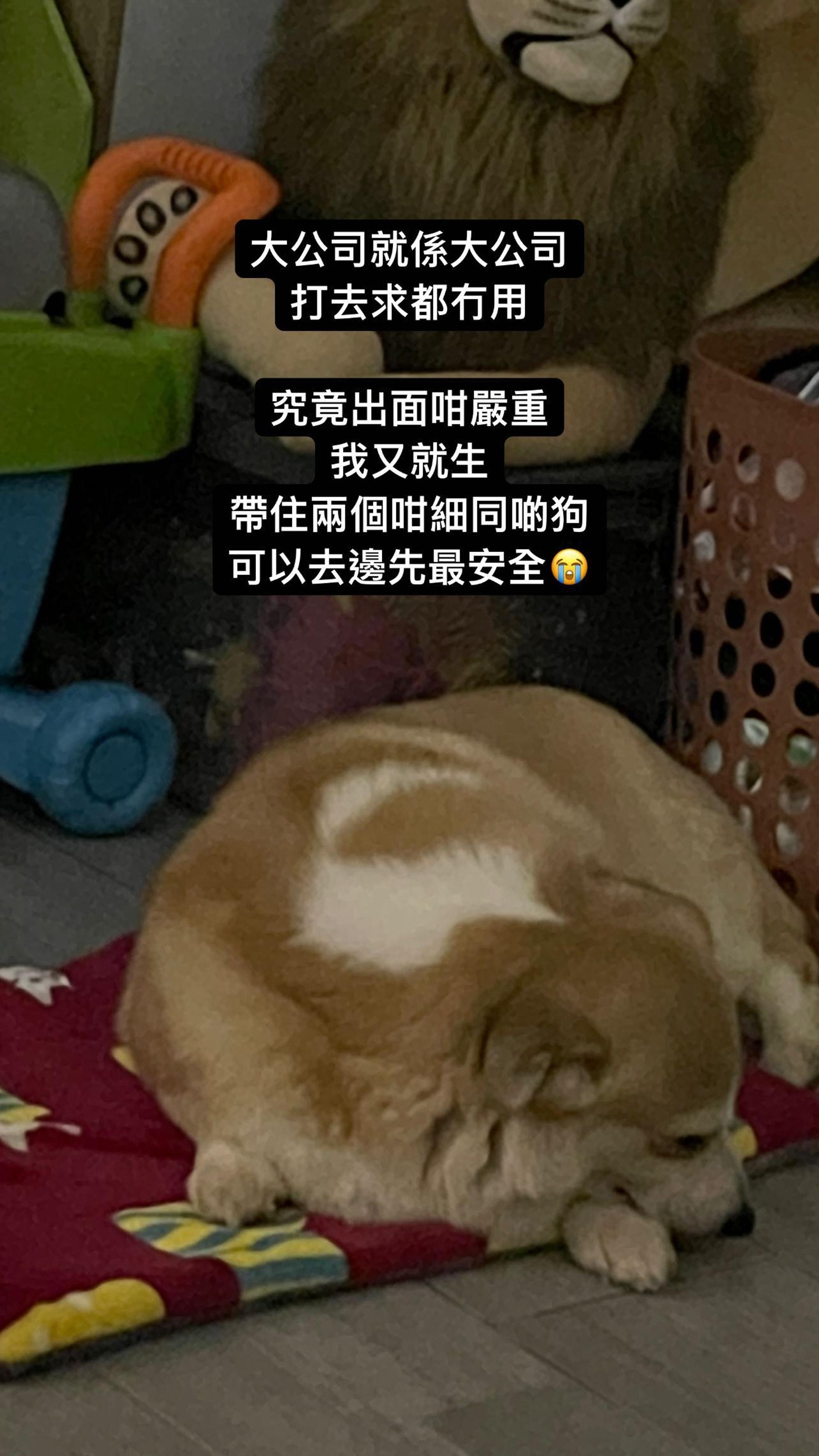 雯雯在IG放負。