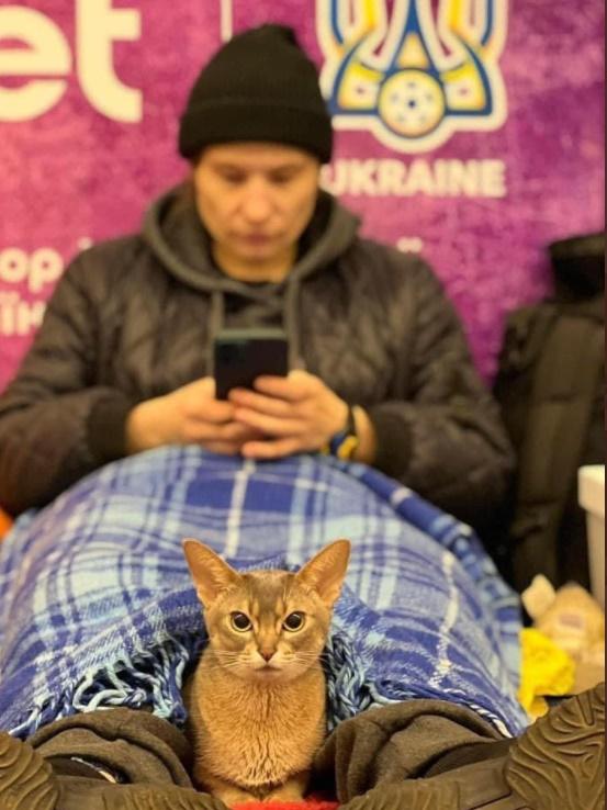 戰事發動最初,烏克蘭人以地鐵站為避難所。(Twitter)