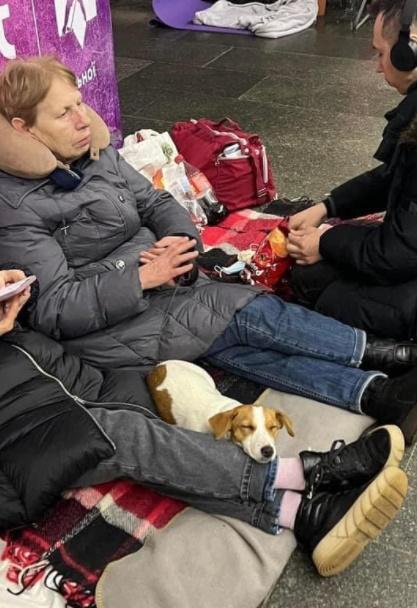 戰事發動最初,烏克蘭人以地鐵站為避難所。(Twitter)