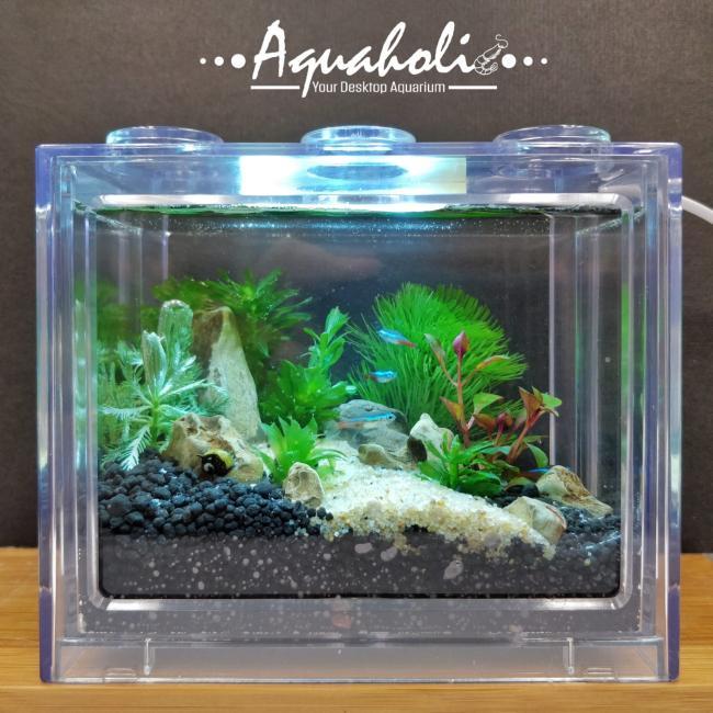 迷你積木生態魚缸DIY材料包