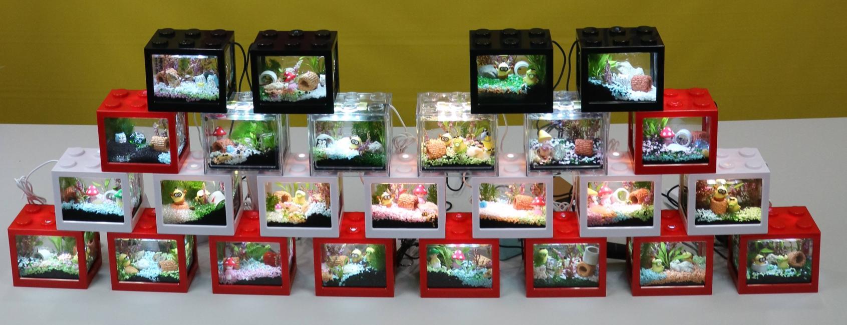 迷你積木生態魚缸DIY材料包