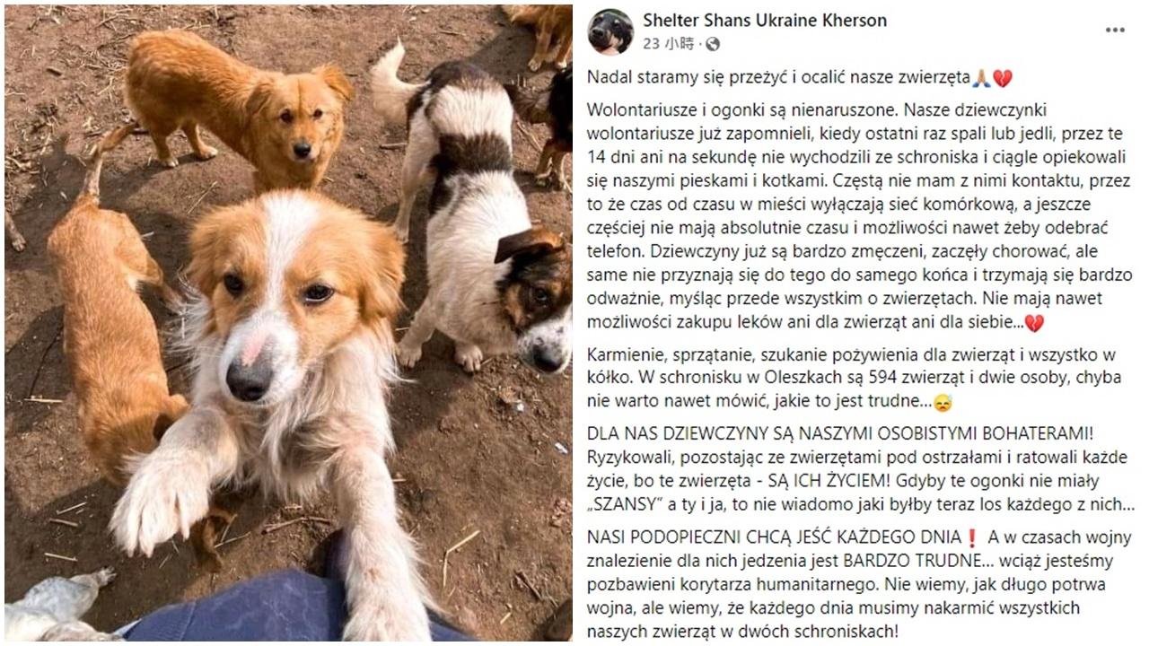 烏克蘭動物收容所現時面對最大危機,除了無情的炮火,還有因為戰事而無法運抵食物給動物。(FB)