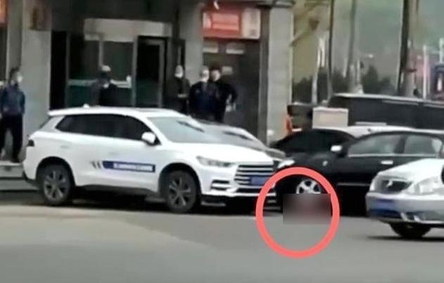 遼寧女開車撞倒母親後,再加以輾壓。(互聯網)