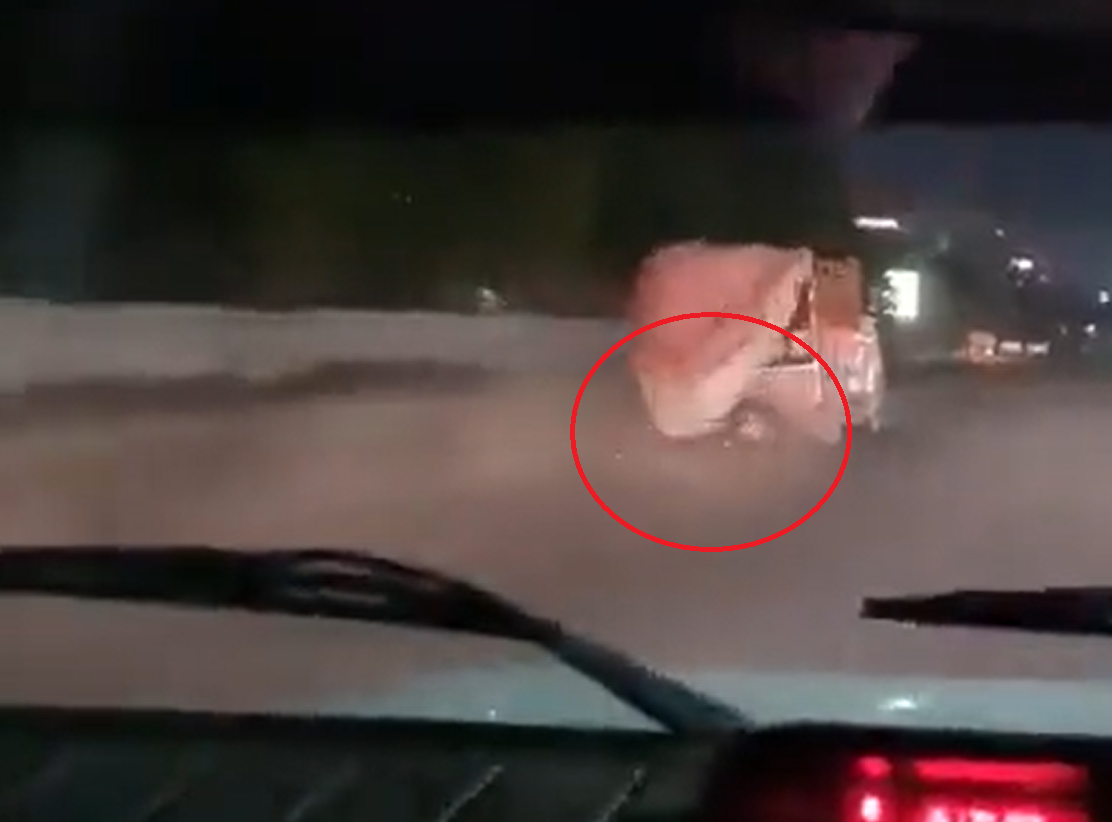 匪徒從貨車推出牛隻。(影片截圖)