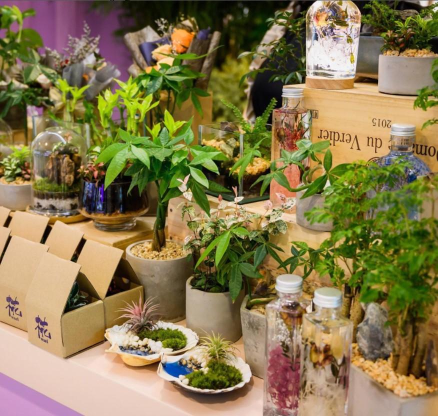 台灣迷你盆景 $188/1set