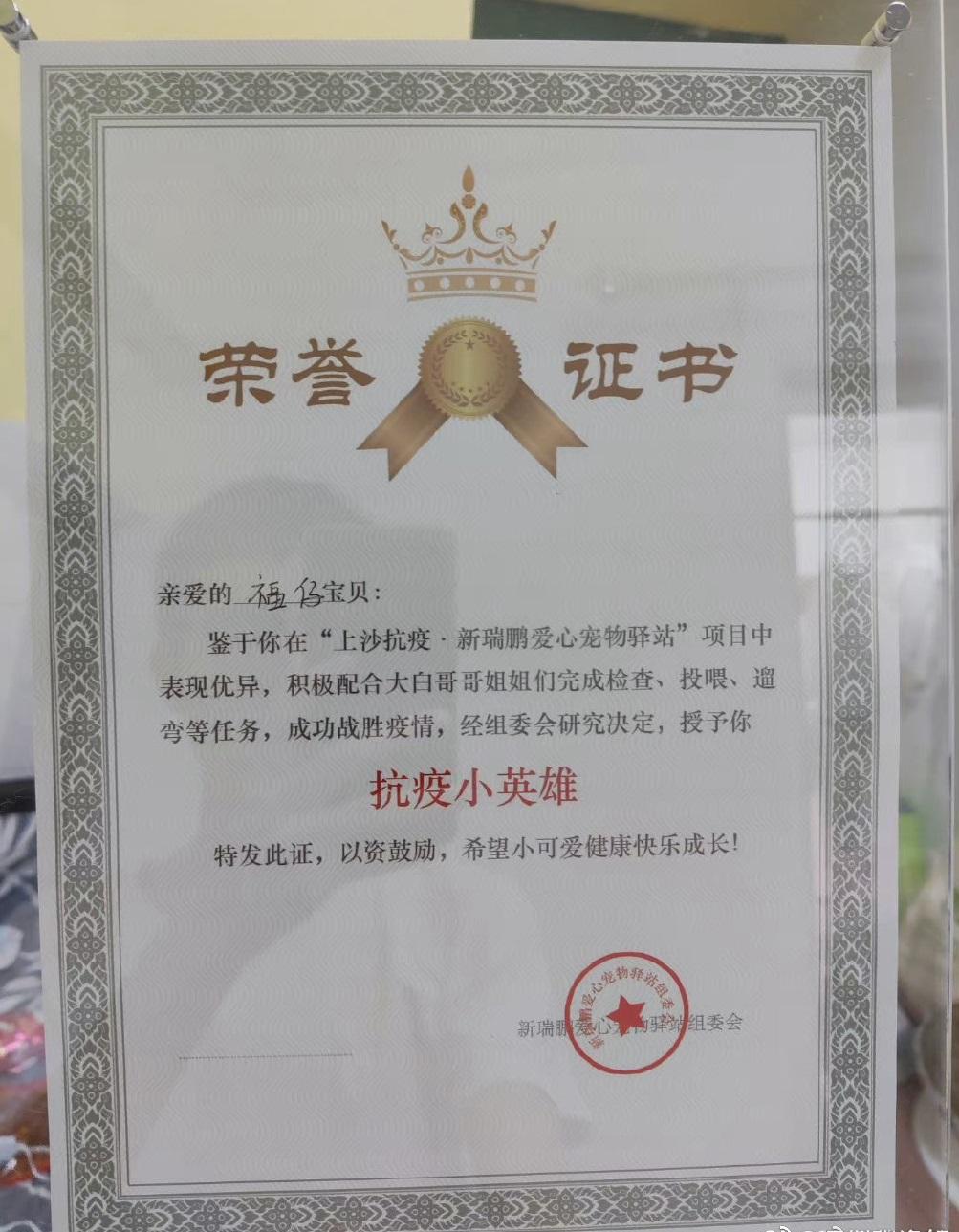 寵物出方艙後,會獲得「抗疫小英雄」榮譽證書。(互聯網)