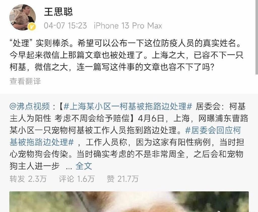 王思聰為被打死的哥基狗發聲。(互聯網)