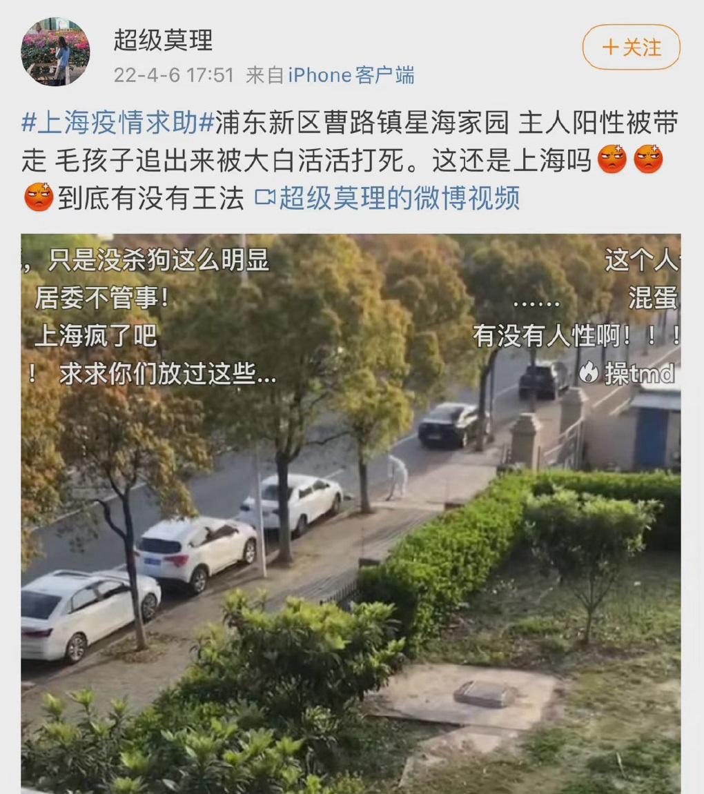 附近居民拍攝到打死狗經過後放上網,引起網民譁然。(互聯網)