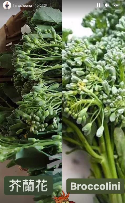 軒仔在IG stroy特地上載芥蘭花和芥蘭花苗的分別。