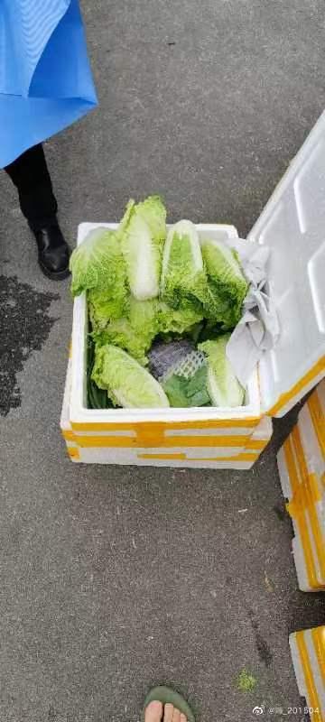 轉賣到靜安區的蔬菜,每箱都有多棵娃娃菜。(互聯網)