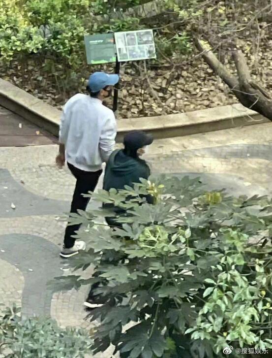 有指同行的女士是彭于晏的姐姐。