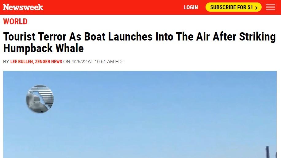 《新聞週刊》(Newsweek)