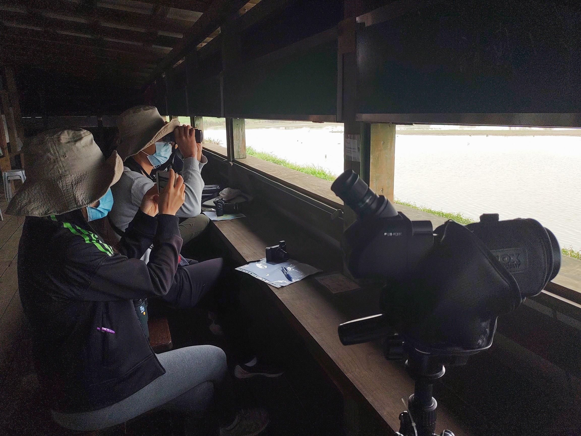 香港觀鳥會於今年1月進行調查。(香港觀鳥會提供)