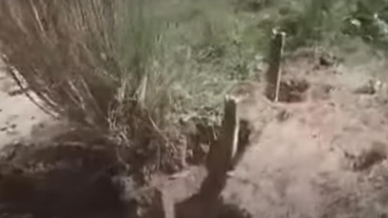 鐵橋遭拆除後,剩下幾支地基鐵枝。(YouTube)